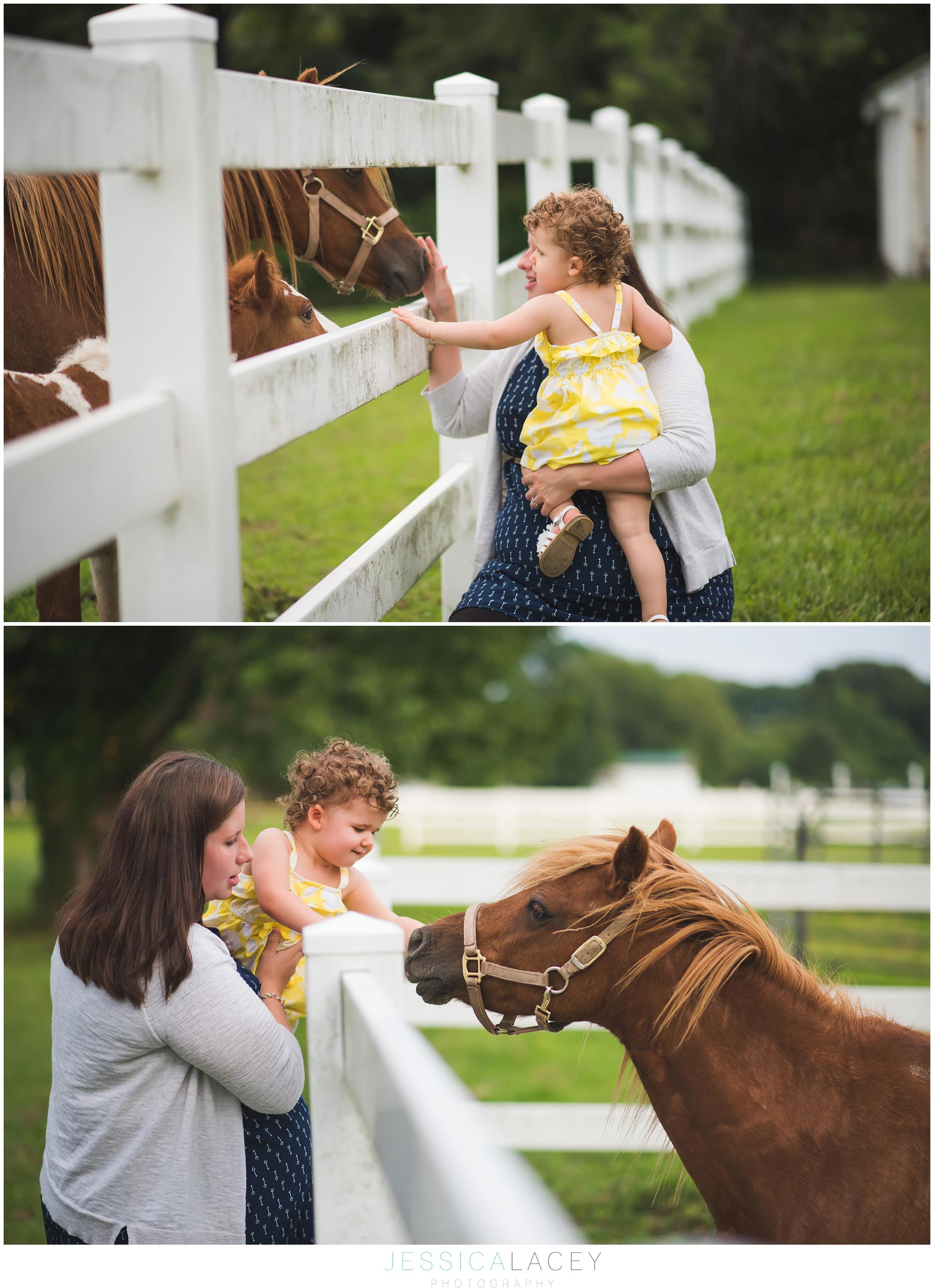 Maternity2015 (14 of 66)_WEB.jpg