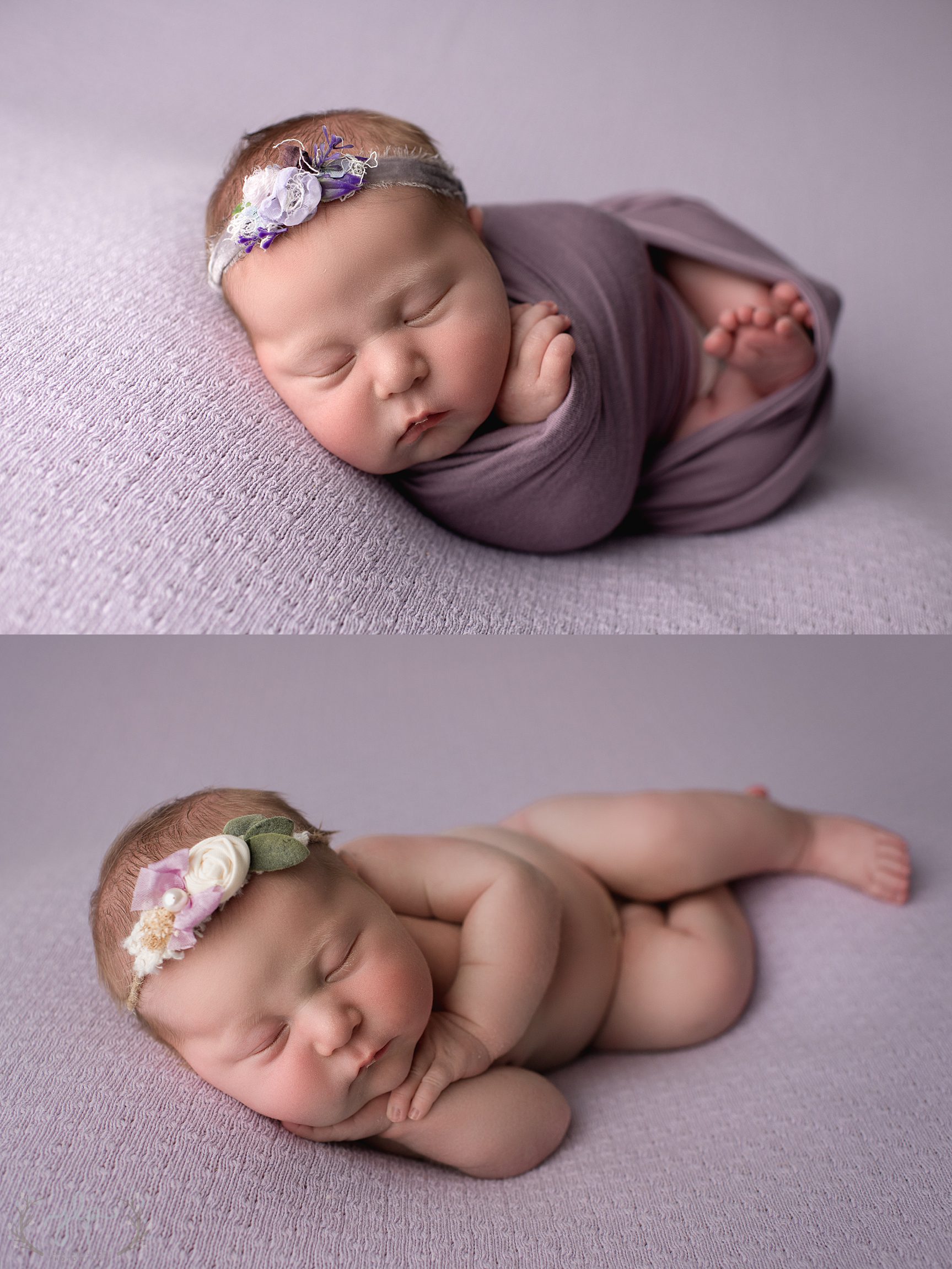 Penelope-10.jpg