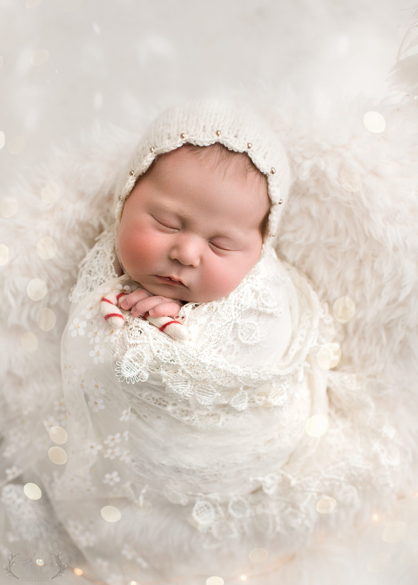 Penelope-8.jpg